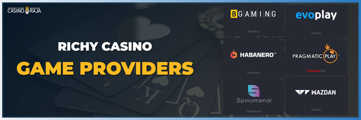 All game providers available on the rich casino.
